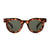 Milo Sunglasses | Tortoise with Green Lens