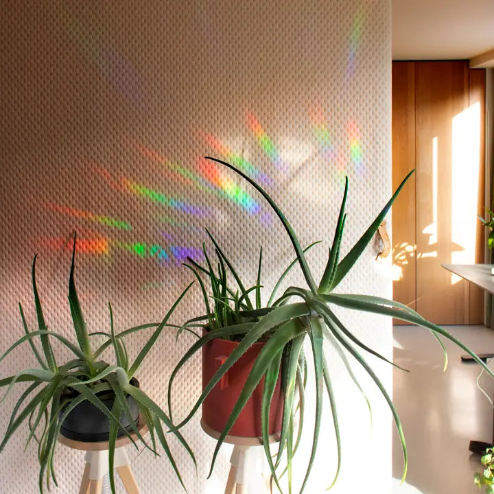 Rainbow Maker Sticker | Slow Down + Soak It Up