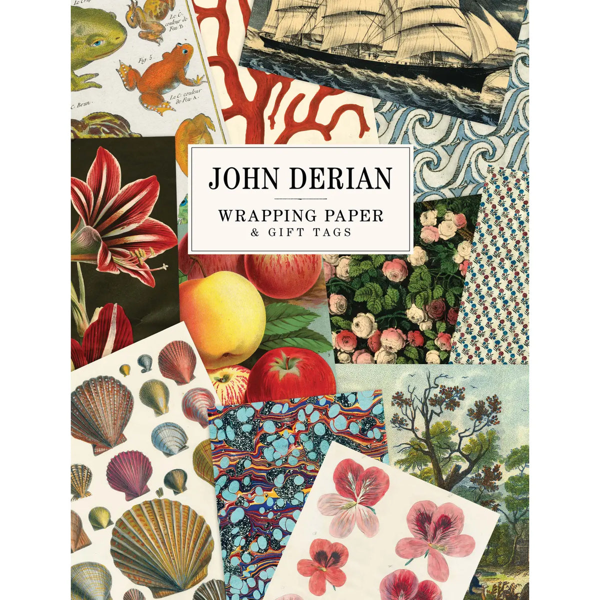 John Derian Paper Goods | Wrapping Paper + Gift Tags