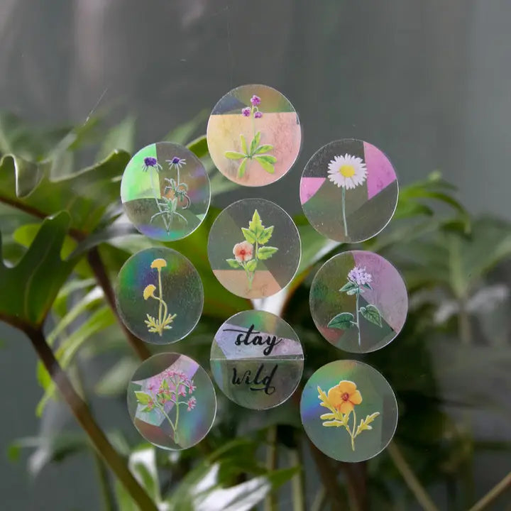 Rainbow Maker Sticker | Stay Wild Mini 8 Pack