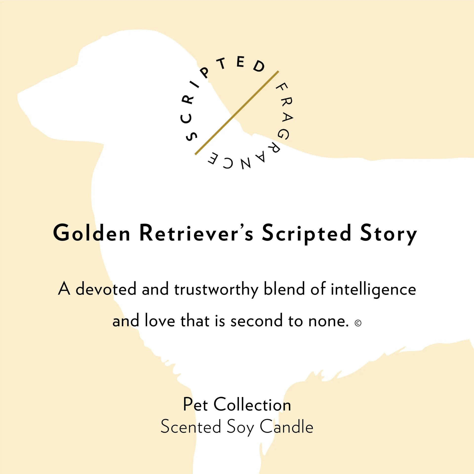 Scripted Fragrance Candle | Golden Retriever