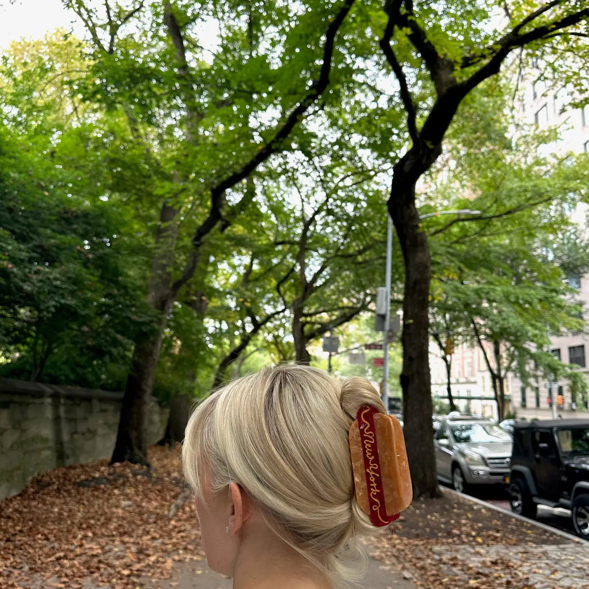 New York Hot Dog Hair Clip
