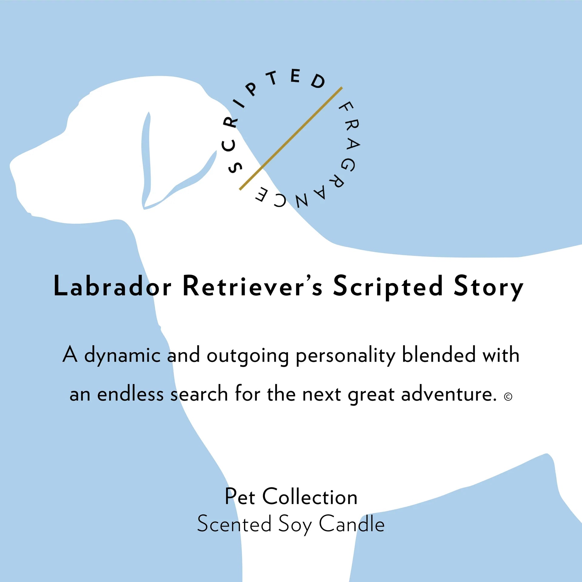 Scripted Fragrance Candle | Labrador Retriever