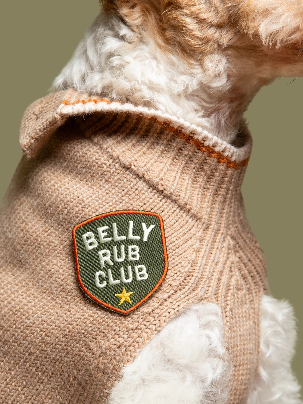 Scouts Honour Dog Patches | Belly Rub Club