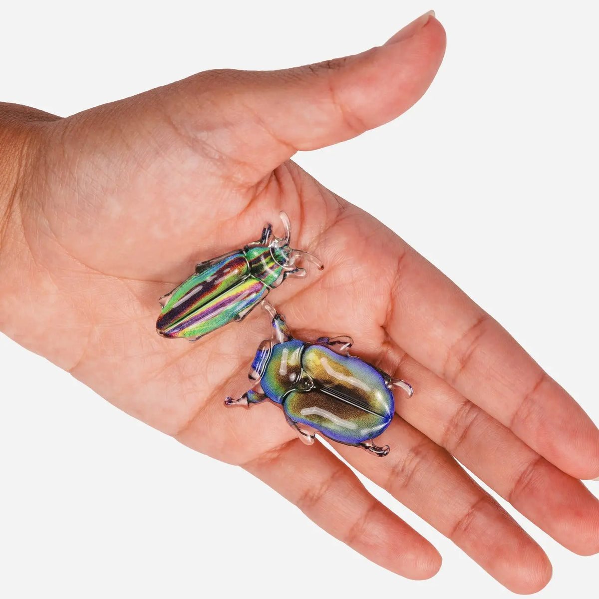 Chunks Allie Clip Set | Beetles