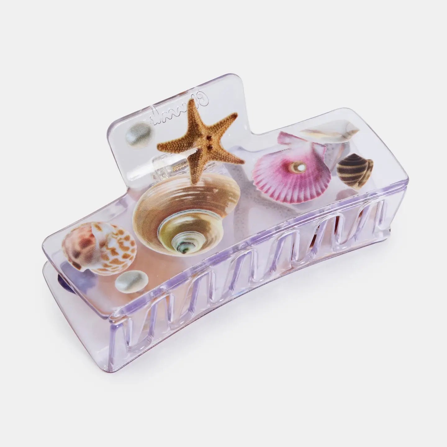 Chunks Box Claw | Seashell