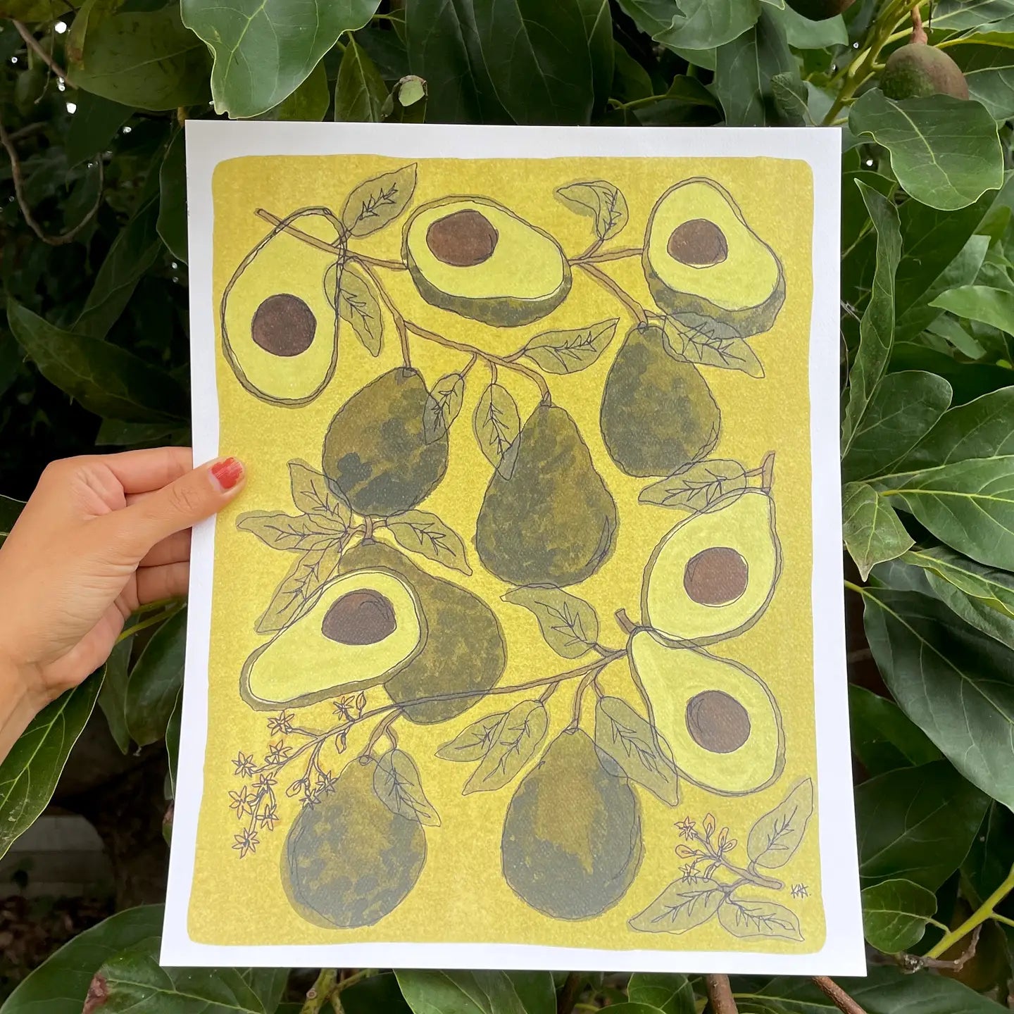 Kim Hoppe 11x14 Art Print | Avocado