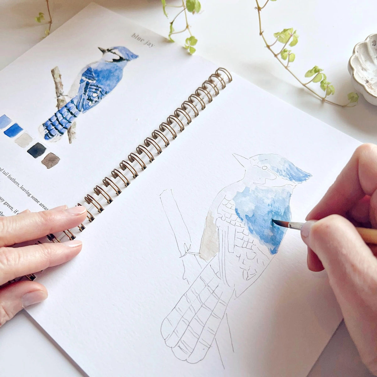 Emily Lex Studio | BIrds Watercolor Workbook