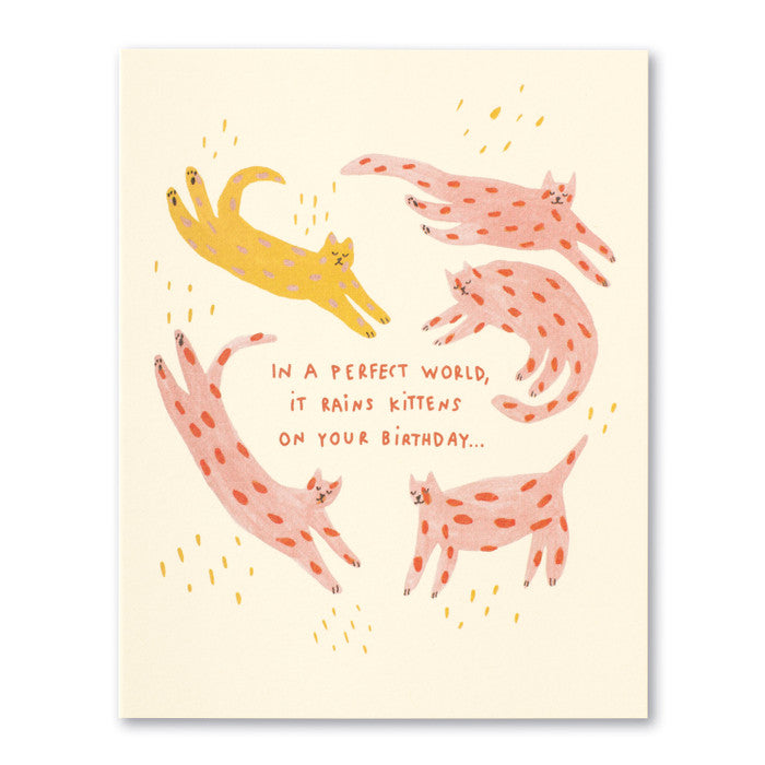 Kittens Belated Birthday Card