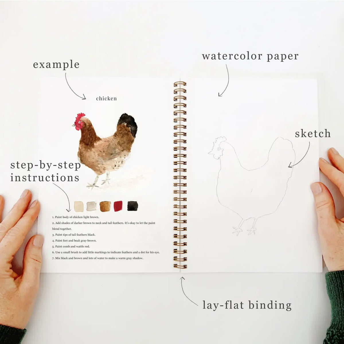 Emily Lex Studio | Animals Watercolor Workbook