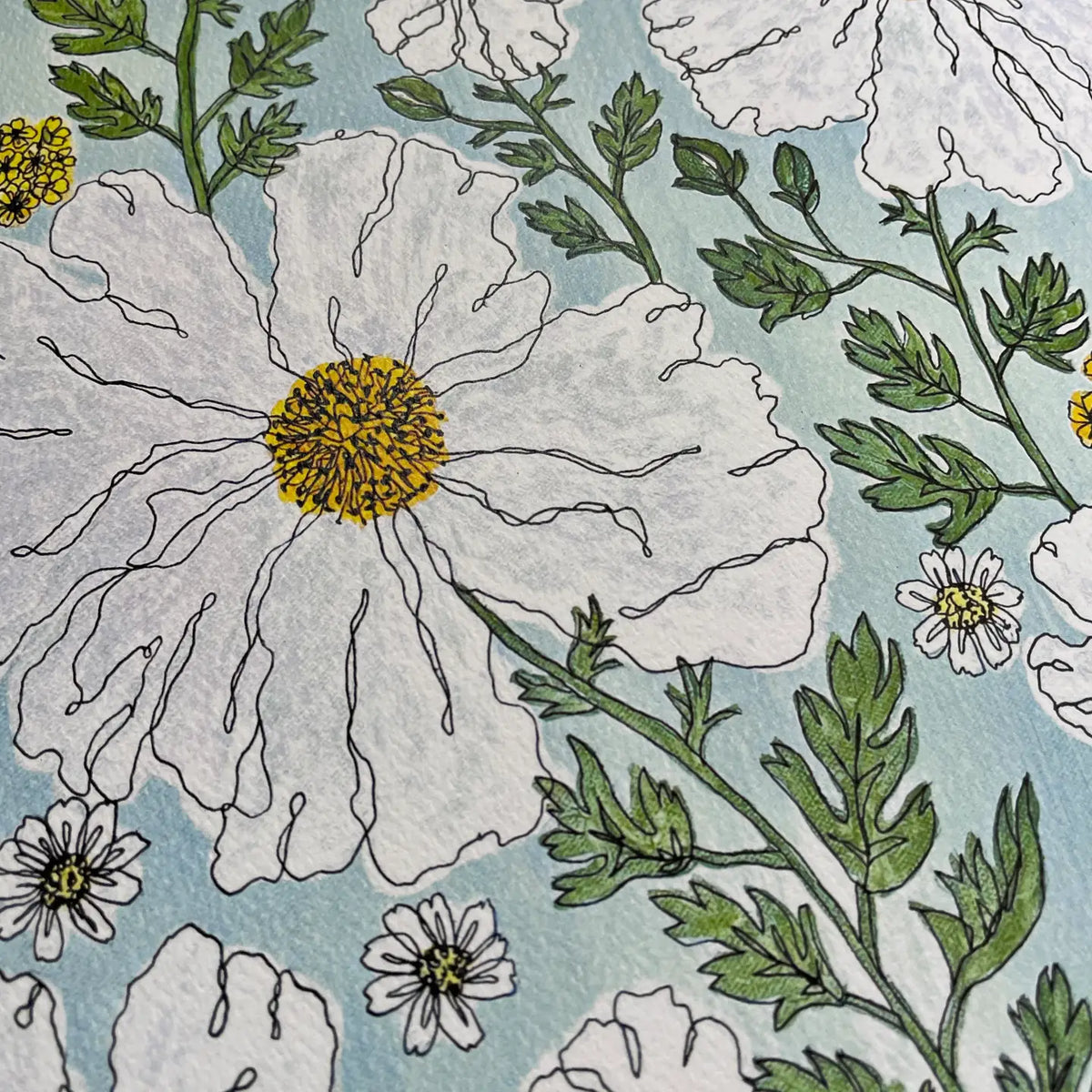 Kim Hoppe 11x14 Art Print | Matilija Poppies