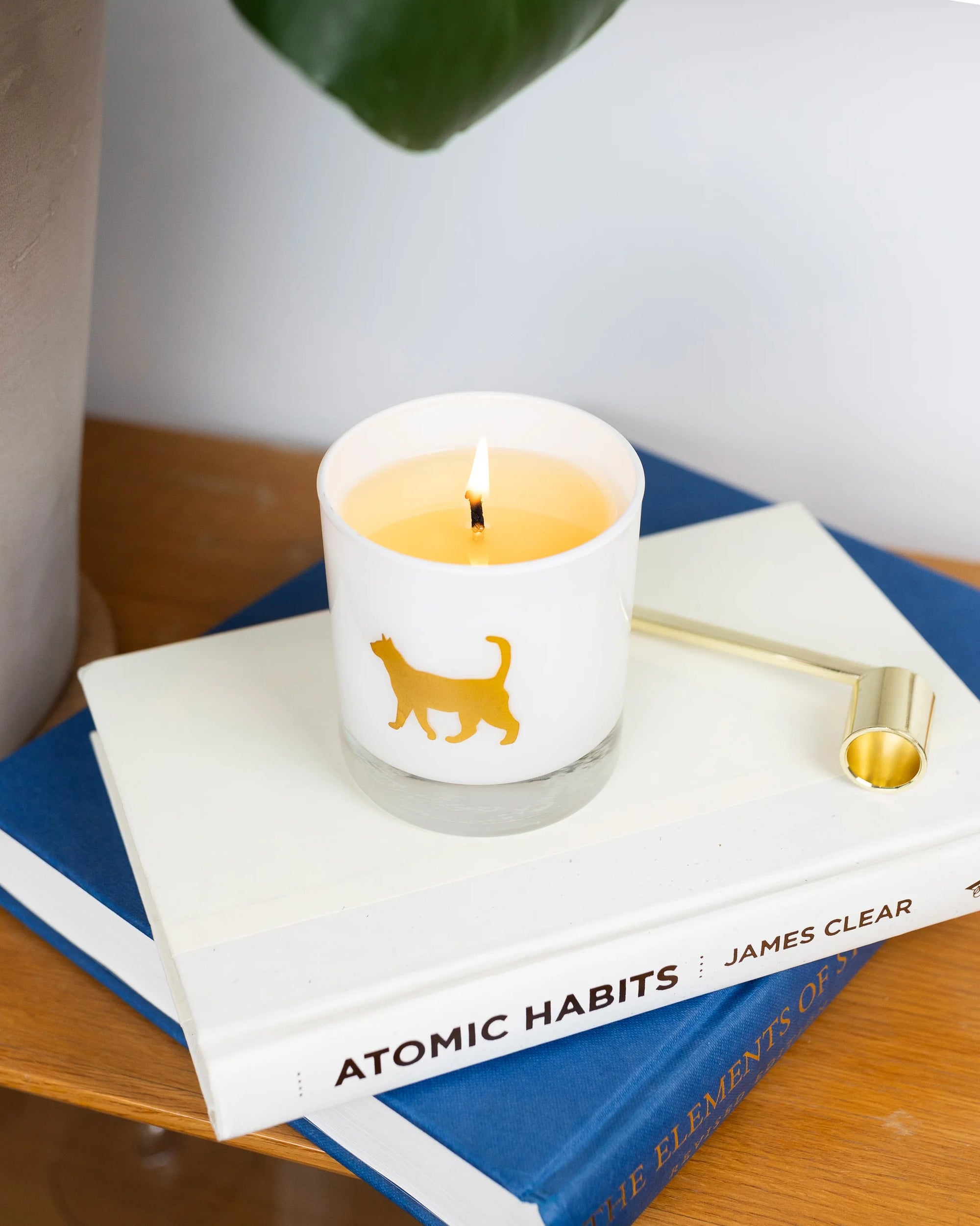 Scripted Fragrance Candle | Cat