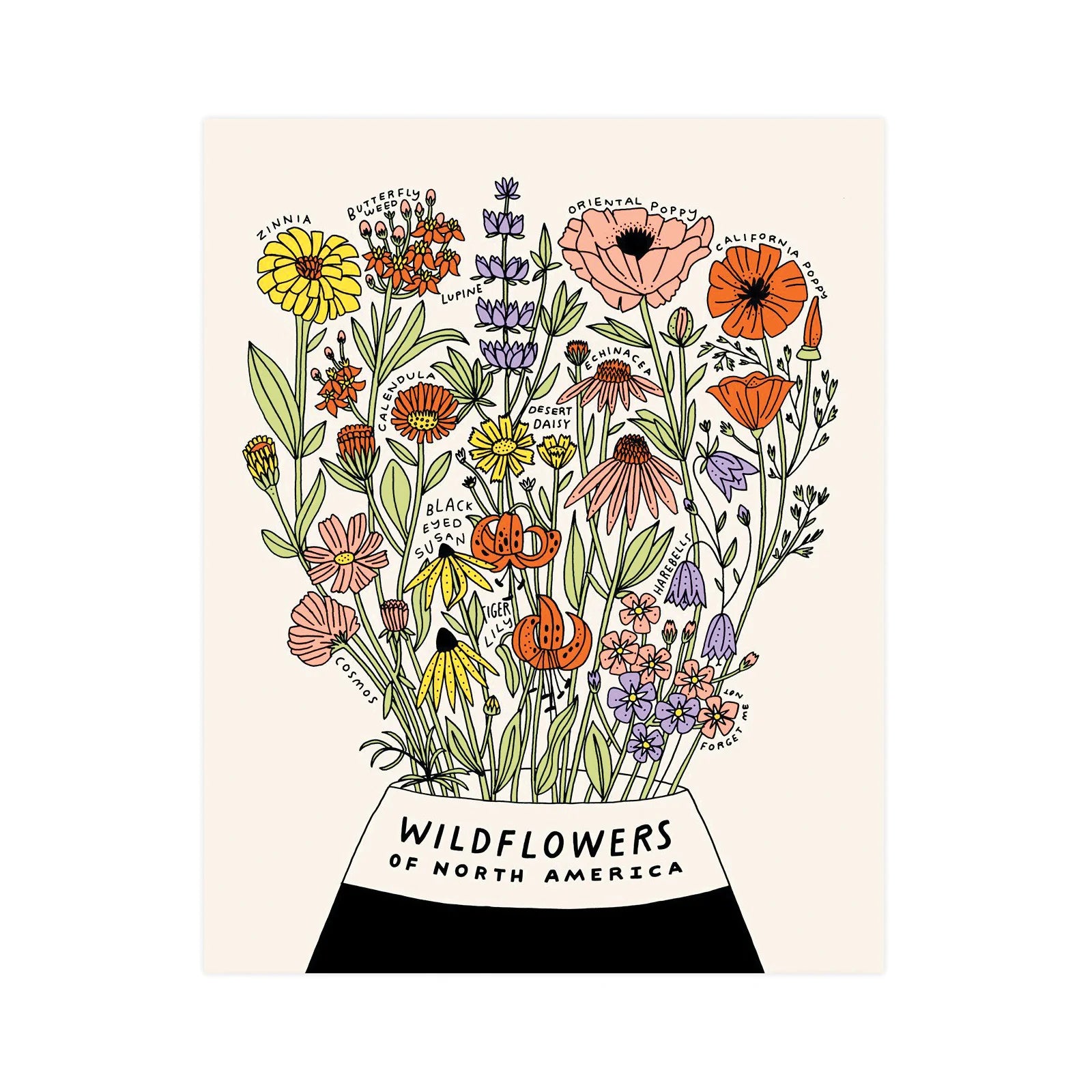 Wildflowers of North America Screen Print