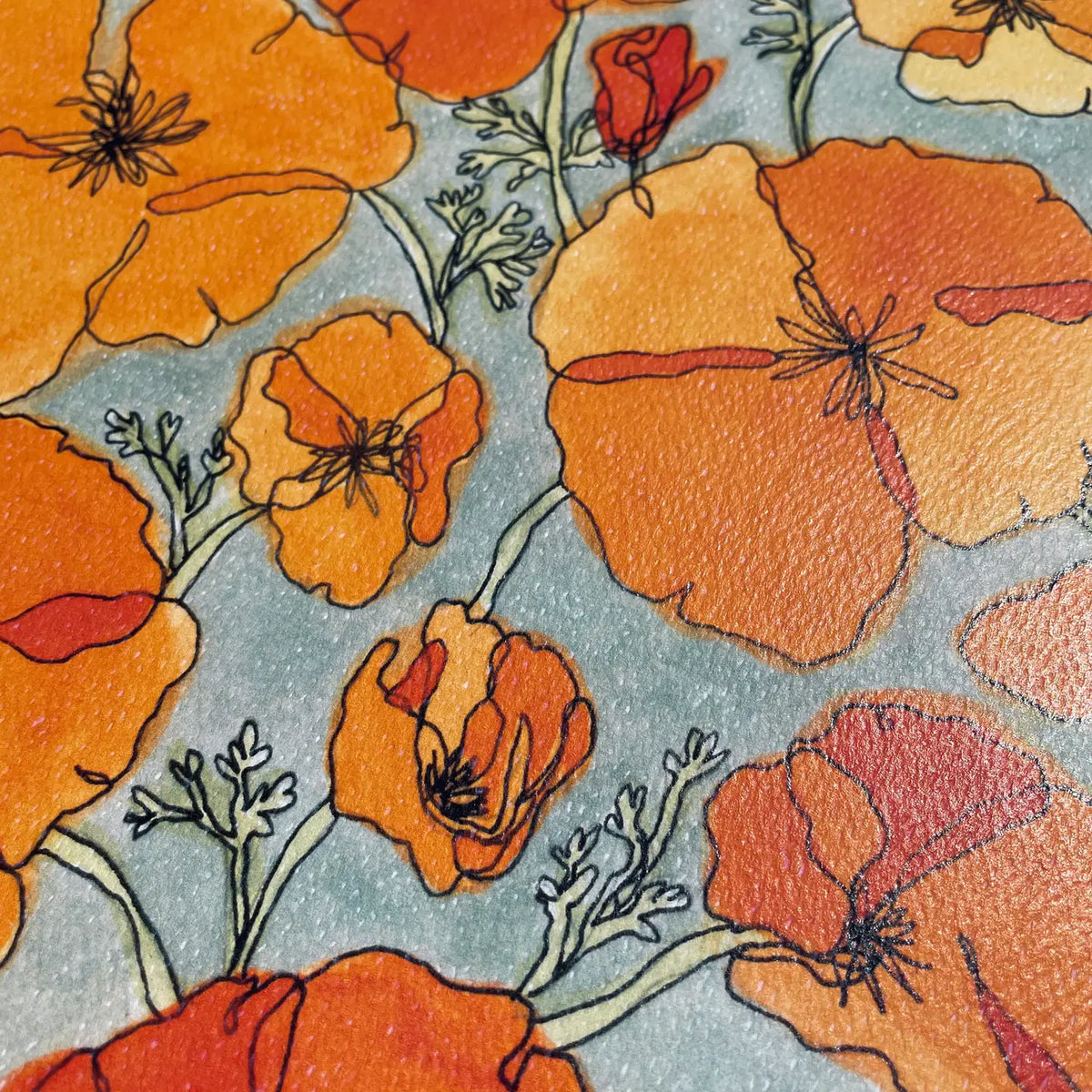 Kim Hoppe 11x14 Art Print | California Poppy