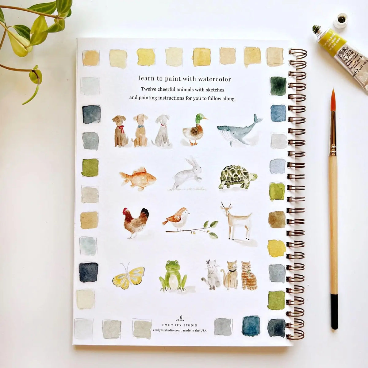 Emily Lex Studio | Animals Watercolor Workbook