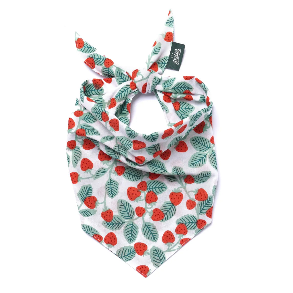 The Paws Dog Bandana | Henley