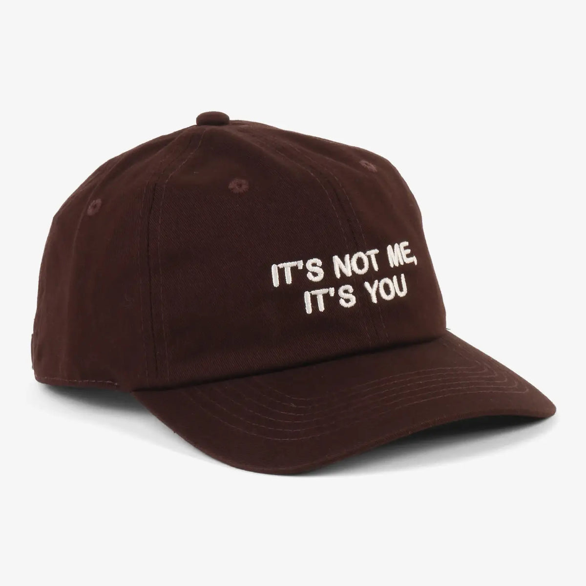 Intentionally Blank Baseball Hat | It's Not Me It's You