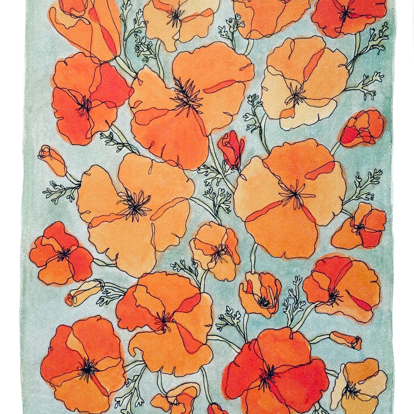 Kim Hoppe 11x14 Art Print | California Poppy