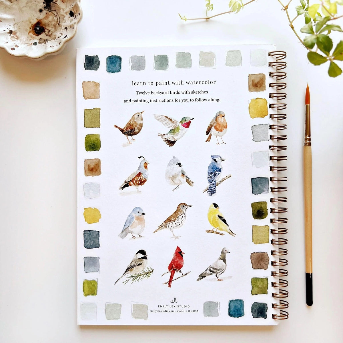 Emily Lex Studio | BIrds Watercolor Workbook