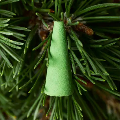 Houseplant By Ripple Incense | Ash &amp; Scent